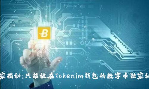 专家揭秘：只能放在Tokenim钱包的数字币独家秘诀