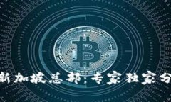 揭秘Tokenim新加坡总部：专