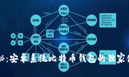 专家揭秘：安卓系统比特币钱包的独家使用秘诀