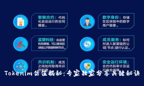 Tokenim估值揭秘：专家独家分享关键秘诀