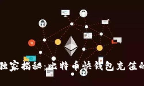 专家独家揭秘：比特币快钱包充值的秘诀