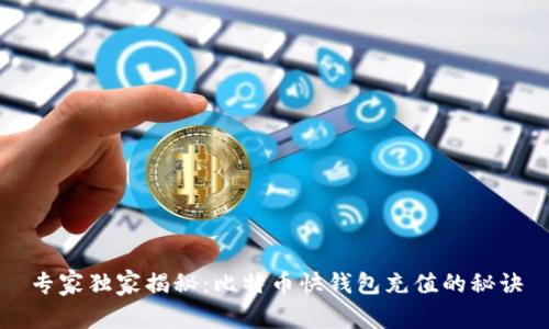 专家独家揭秘：比特币快钱包充值的秘诀