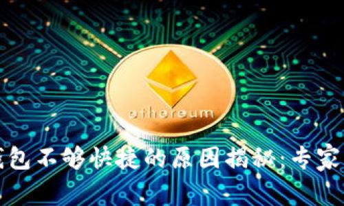 比特币钱包不够快捷的原因揭秘：专家独家秘诀