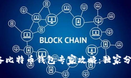 2023年必备比特币钱包专家攻略：独家分享使用秘诀