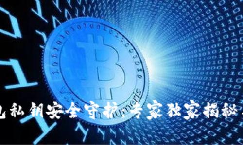区块链钱包私钥安全守护：专家独家揭秘与解决秘诀
