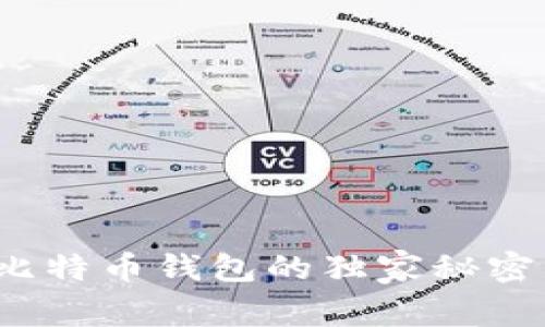 专家揭秘：比特币钱包的独家秘密与使用秘诀
