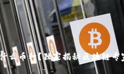 USDT钱包是什么币种？独家揭秘区块链专家的使用秘诀