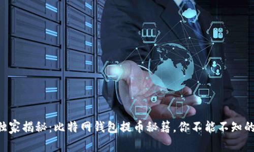专家独家揭秘：比特网钱包提币秘籍，你不能不知的技巧！
