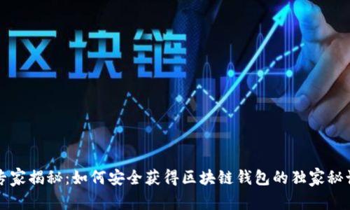 专家揭秘：如何安全获得区块链钱包的独家秘诀