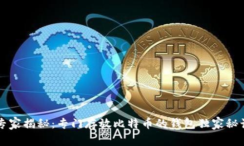 专家揭秘：专门存放比特币的钱包独家秘诀