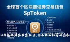 专家解读：IM钱包的那些独