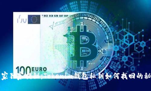 专家独家揭秘：Tokenim钱包私钥如何找回的秘诀