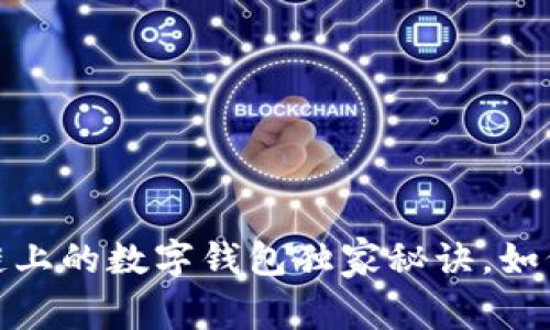 专家揭秘：区块链上的数字钱包独家秘诀，如何安全高效使用？