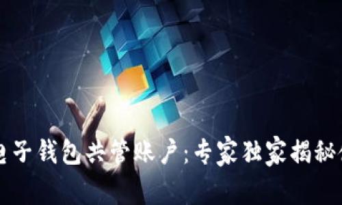 区块链电子钱包共管账户：专家独家揭秘使用秘诀