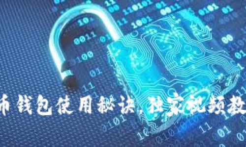 专家揭秘：比特币钱包使用秘诀，独家视频教程助你轻松上手