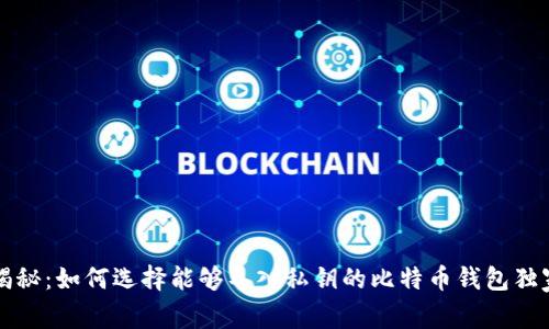 专家揭秘：如何选择能够导入私钥的比特币钱包独家秘诀