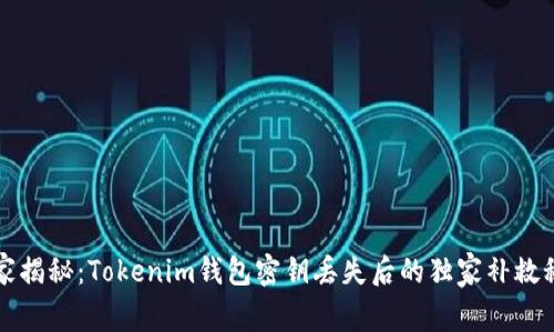 专家揭秘：Tokenim钱包密钥丢失后的独家补救秘诀