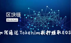 专家揭秘：如何通过Toke