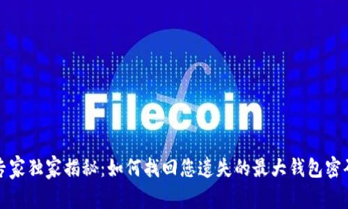 比特币专家独家揭秘：如何找回您遗失的最大钱包密码的秘诀