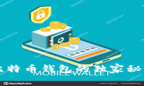 专家揭秘：选择比特币钱包的独家秘诀，让你安全无忧