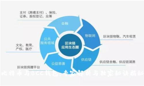 比特币与BCC钱包：专家解析与独家秘诀揭秘