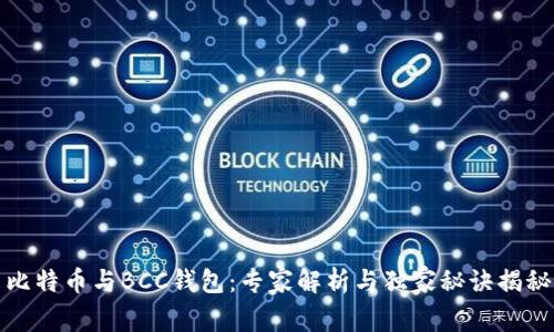 比特币与BCC钱包：专家解析与独家秘诀揭秘