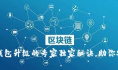 比特币钱包升级的专家独