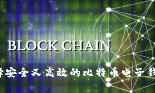 专家揭秘：如何选择安全又高效的比特币电子钱包？独家秘诀分享！