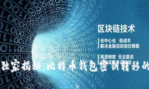 专家独家揭秘：比特币钱包密钥转移的秘诀
