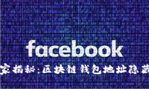 专家独家揭秘：区块链钱包地址隐藏的秘诀