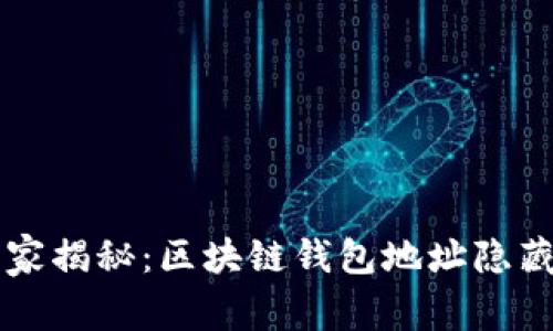 专家独家揭秘：区块链钱包地址隐藏的秘诀