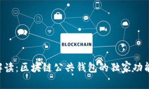 专家解读：区块链公共钱包的独家功能揭秘！