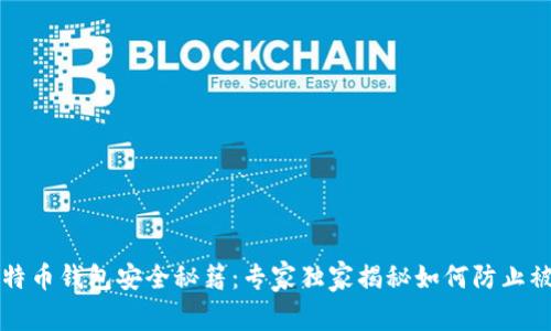 比特币钱包安全秘籍：专家独家揭秘如何防止被盗