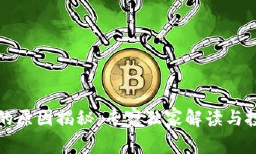 比特币钱包跑路的原因揭秘：专家独家解读与投资者的保护秘诀