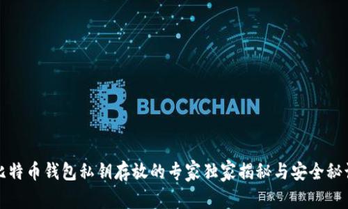 比特币钱包私钥存放的专家独家揭秘与安全秘诀