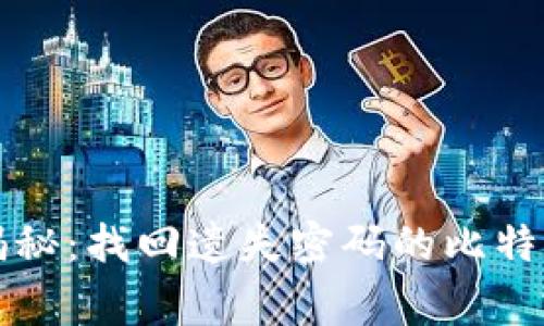 专家独家揭秘：找回遗失密码的比特币钱包秘诀