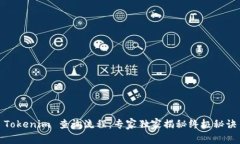 Tokenim 查询流程：专家独家