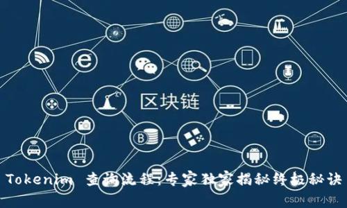 Tokenim 查询流程：专家独家揭秘终极秘诀