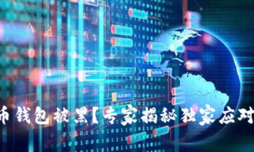 比特币钱包被黑？专家揭秘独家应对秘诀!