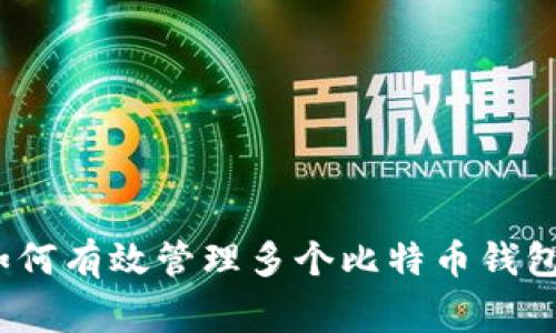 专家指导：如何有效管理多个比特币钱包的独家秘诀