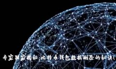 专家独家揭秘：比特币钱