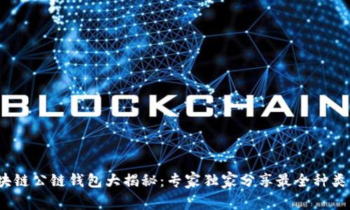 2023年区块链公链钱包大揭秘：专家独家分享最全种类与使用秘诀