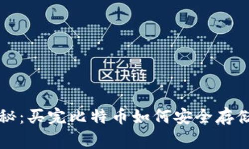 专家独家揭秘：买完比特币如何安全存储钱包的秘诀