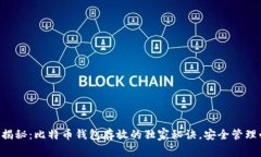 专家揭秘：比特币钱包存