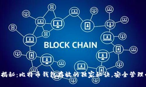 专家揭秘：比特币钱包存放的独家秘诀，安全管理必看！