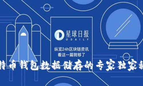 比特币钱包数据储存的专家独家秘诀
