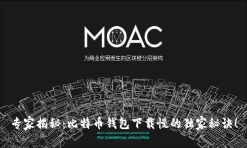 专家揭秘：比特币钱包下载慢的独家秘诀！