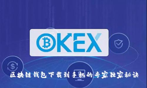 区块链钱包下载到手机的专家独家秘诀