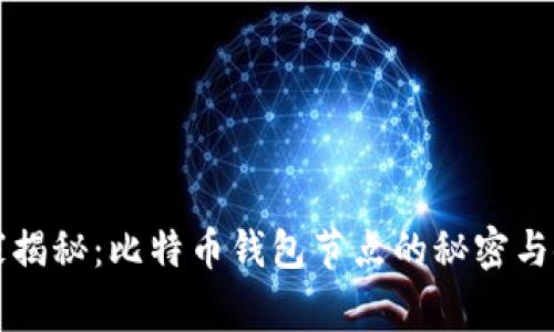 专家独家揭秘：比特币钱包节点的秘密与使用秘诀
