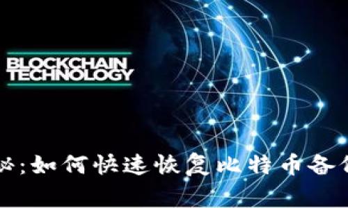 专家独家揭秘：如何快速恢复比特币备份钱包的秘诀